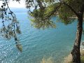 IMG_7406