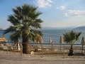 IMG_7423
