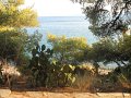 IMG_7425