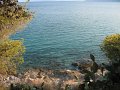 IMG_7427