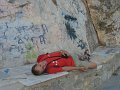 IMG_7439