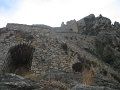 IMG_7489
