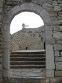 IMG_7502