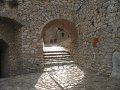 IMG_7506