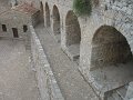 IMG_7519