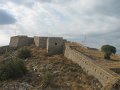 IMG_7534
