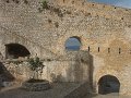 IMG_7546