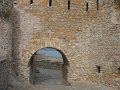 IMG_7547