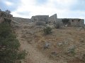 IMG_7556