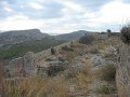 IMG_7561