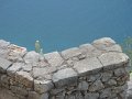 IMG_7567