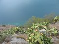 IMG_7569