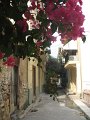 IMG_7594