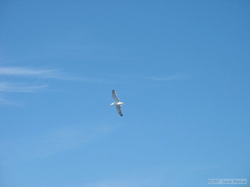 IMG_6903.JPG