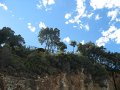 IMG_6811