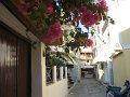 IMG_6935