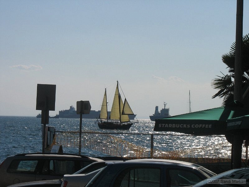 IMG_7835.JPG