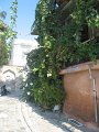 IMG_7774