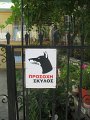 IMG_7780