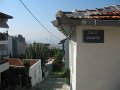 IMG_7784