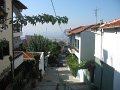 IMG_7785