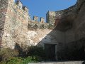 IMG_7795