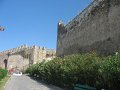 IMG_7796
