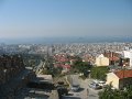 IMG_7801