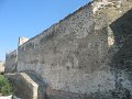IMG_7804