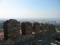 IMG_7805