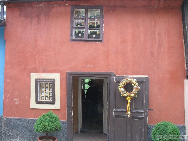 IMG_5285.JPG