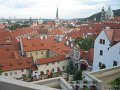 IMG_4893