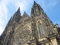 IMG_4917