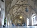 IMG_5254
