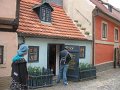 IMG_5288