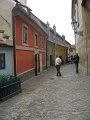 IMG_5292