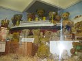 IMG_5313