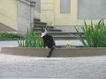 IMG_5355