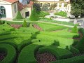IMG_5361