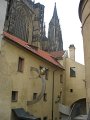 IMG_5441