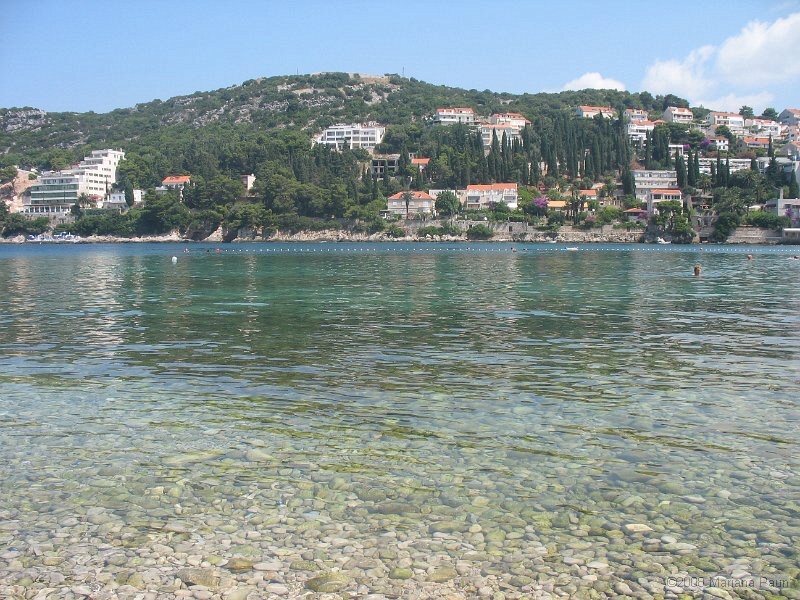 IMG_8459.jpg