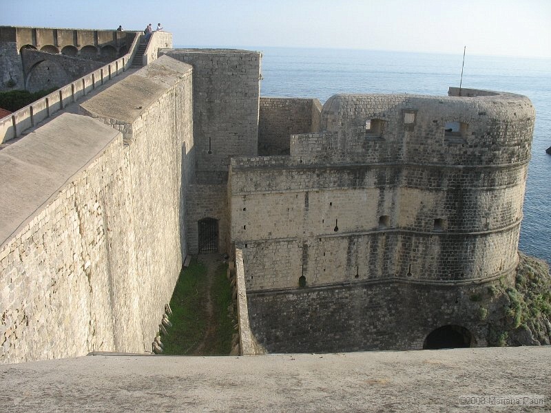 IMG_8530.jpg