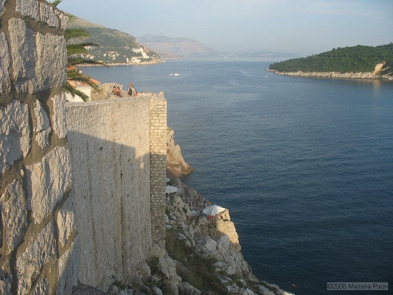 IMG_8547.jpg