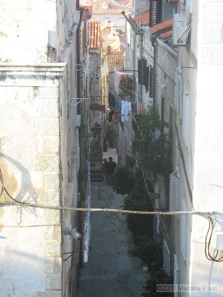 IMG_8551.jpg