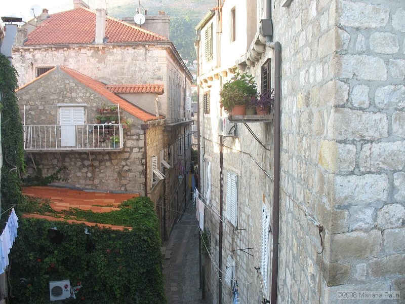 IMG_8566.jpg