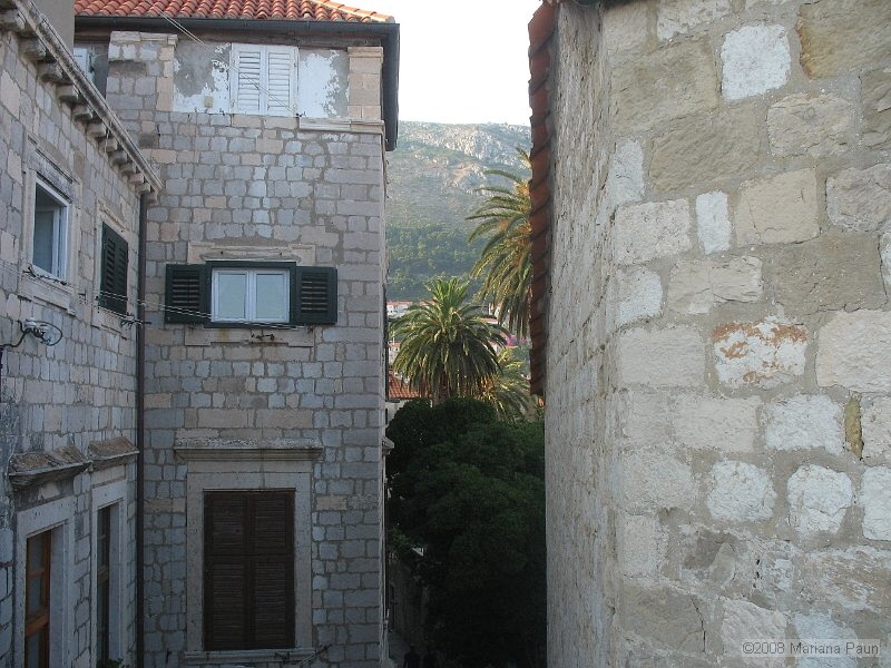 IMG_8567.jpg