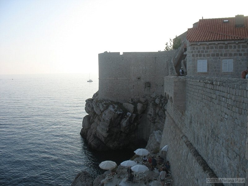 IMG_8568.jpg