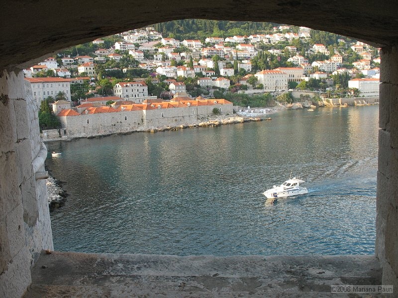 IMG_8581.jpg