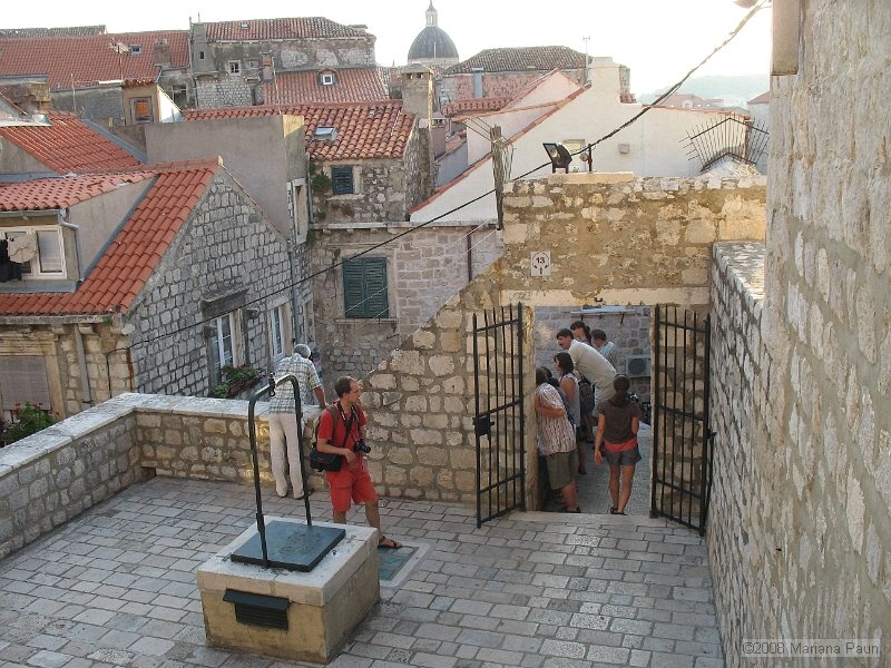 IMG_8587.jpg