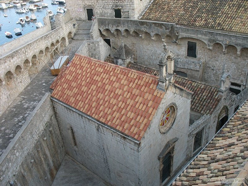 IMG_8624.jpg